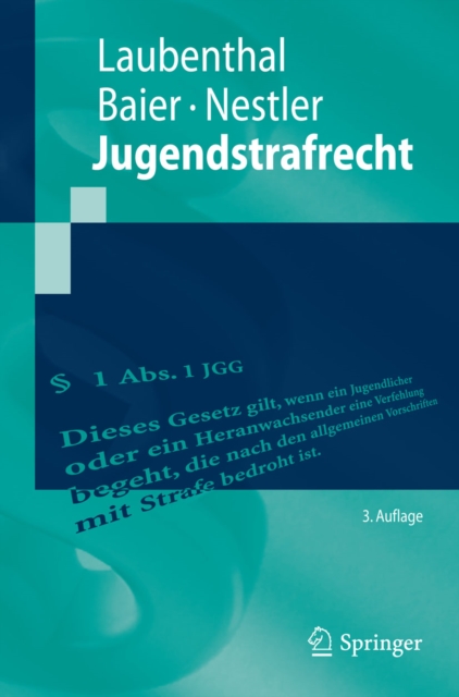 Jugendstrafrecht, PDF eBook