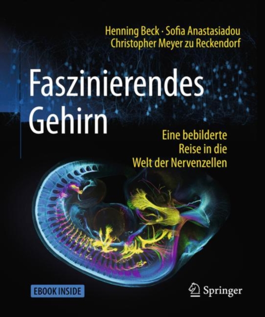 Faszinierendes Gehirn : Eine bebilderte Reise in die Welt der Nervenzellen, PDF eBook