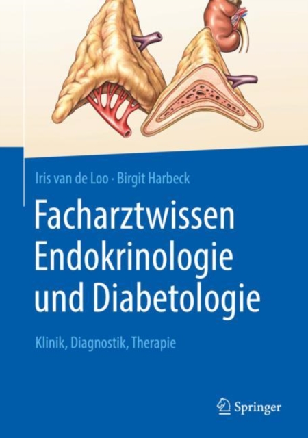 Facharztwissen Endokrinologie und Diabetologie : Klinik, Diagnostik, Therapie, EPUB eBook