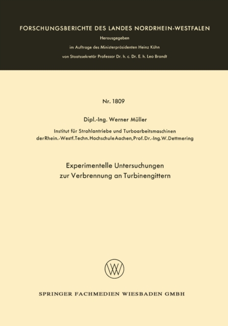 Experimentelle Untersuchungen zur Verbrennung an Turbinengittern, PDF eBook