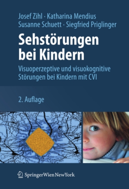 Sehstorungen bei Kindern : Visuoperzeptive und visuokognitive Storungen bei Kindern mit CVI, PDF eBook