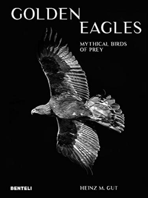 Golden Eagles : Legendary Birds of Prey, Hardback Book