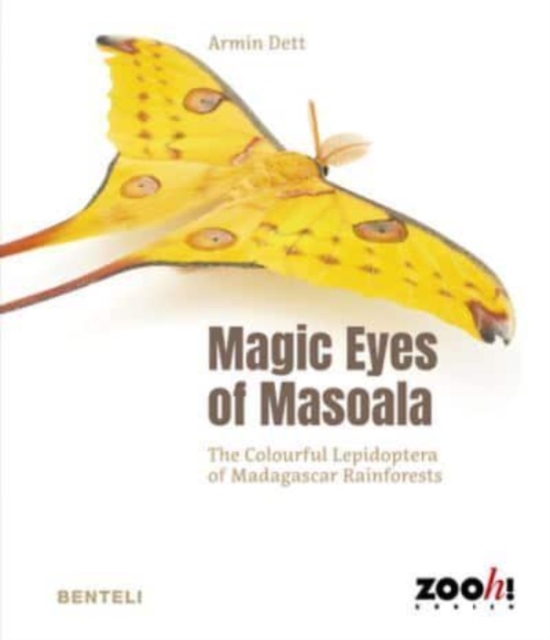 Magic Eyes of Masoala : The Colourful Lepidoptera of Madagascar Rainforests, Paperback / softback Book