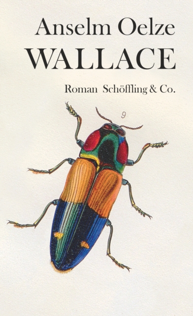 Wallace : Roman, EPUB eBook