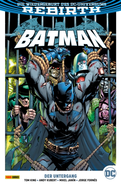Batman - Bd. 11 (2. Serie): Der Untergang, PDF eBook
