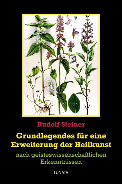 Grundlegendes zur Erweiterung der Heilkunst : nach geisteswissenschaftlichen Erkenntnissen, EPUB eBook