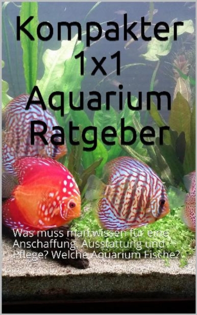Kompakter 1x1 Aquarium Ratgeber : Was muss man wissen fur eine Anschaffung, Ausstattung und Pflege? Welche Aquarium Fische?, EPUB eBook