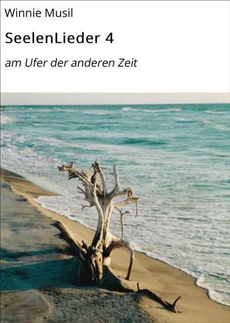 SeelenLieder 4 : am Ufer der anderen Zeit, EPUB eBook