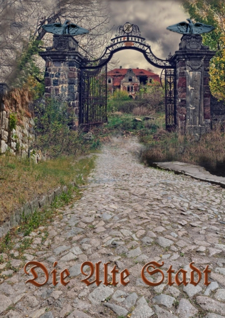 Die Alte Stadt : Traum oder Realitat, EPUB eBook