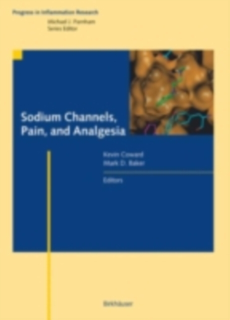 Sodium Channels, Pain, and Analgesia, PDF eBook