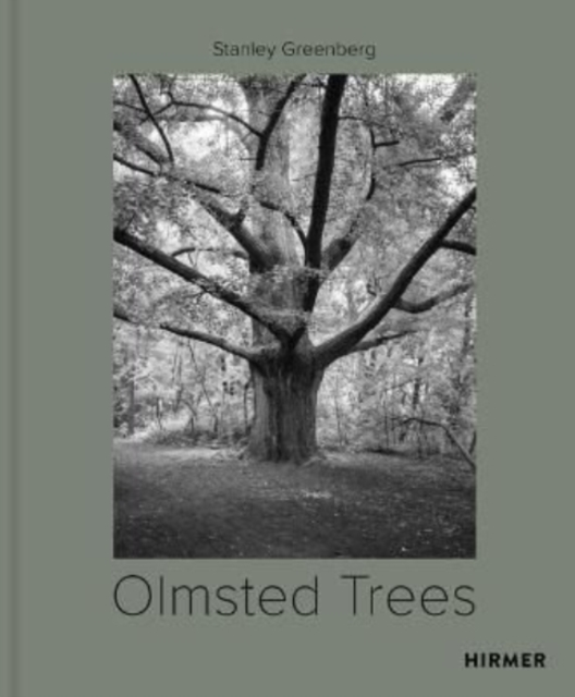 Olmsted Trees (Bilingual edition) : Stanley Greenberg, Hardback Book