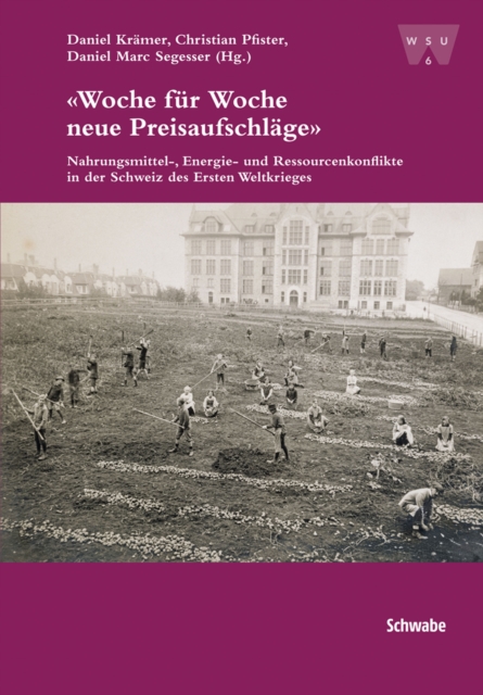 "Woche fur Woche neue Preisaufschlage" : Nahrungsmittel-, Energie- und Ressourcenkonflikte in der Schweiz des Ersten Weltkrieges, PDF eBook