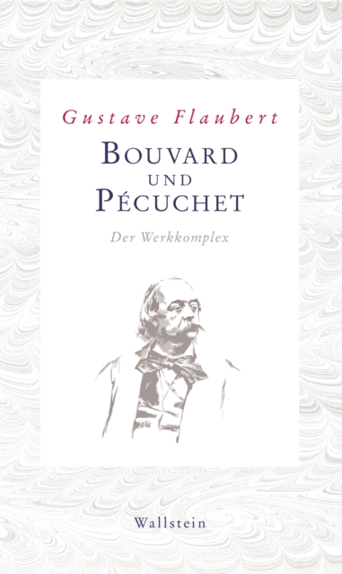 Bouvard und Pecuchet : Der Werkkomplex, PDF eBook