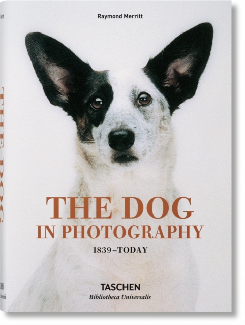 The Dog in Photography 1839-Today, Hardback Book