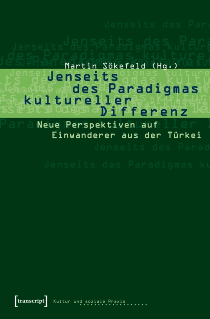 Jenseits des Paradigmas kultureller Differenz : Neue Perspektiven auf Einwanderer aus der Turkei, PDF eBook