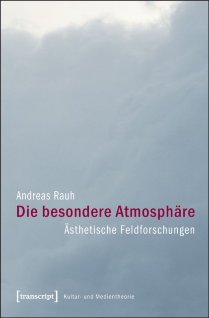 Die besondere Atmosphare : Asthetische Feldforschungen, PDF eBook
