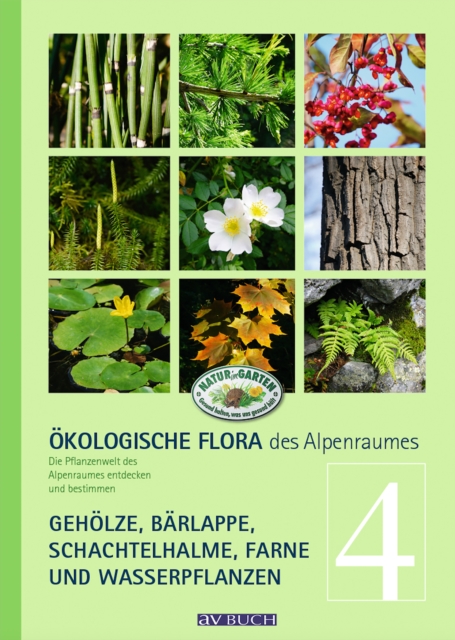 Okologische Flora des Alpenraumes, Band 4 : eholze, Barlappe, Schachtelhalme, Farne und Wasserpflanzen. Die Pflanzenwelt des Alpenraumes entdecken und bestimmen, EPUB eBook