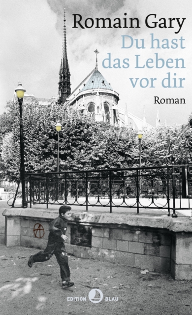 Du hast das Leben vor dir : Roman, EPUB eBook