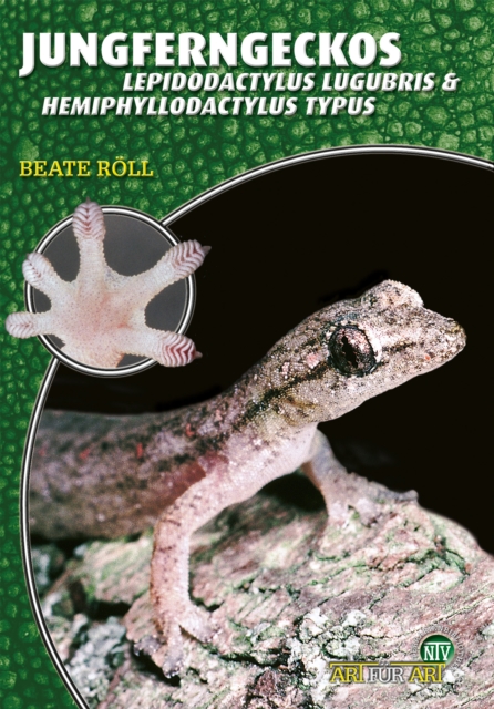 Jungferngeckos : Lepidodactylus lugubris & Hemiphyllodactylus typus, EPUB eBook