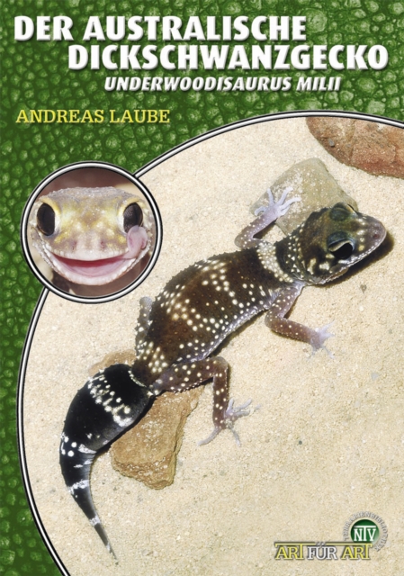 Der Australische Dickschwanzgecko : Underwoodisaurus milii, EPUB eBook
