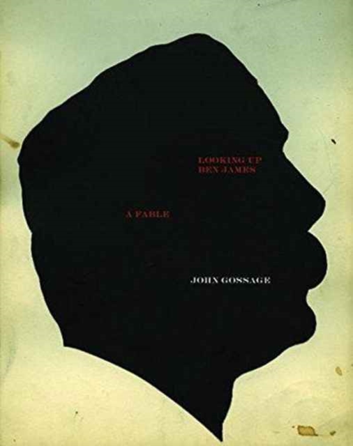 John Gossage: Looking Up Ben James : A Fable, Hardback Book