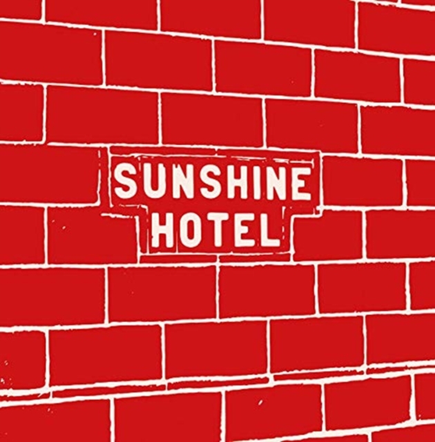 Mitch Epstein: Sunshine Hotel, Hardback Book