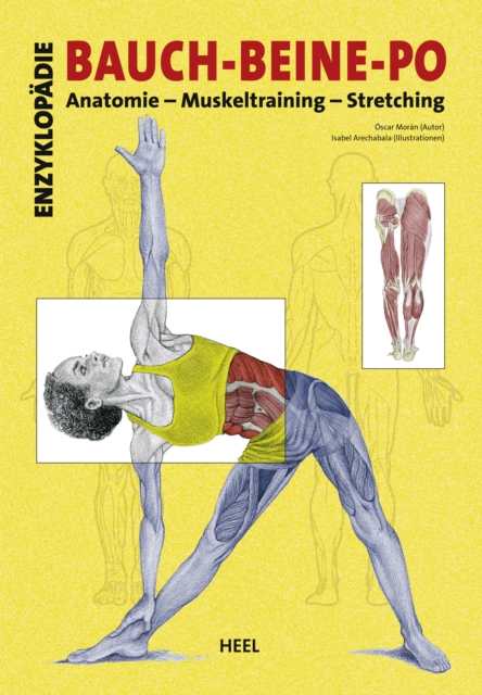 Enzyklopadie Bauch - Beine - Po : Anatomie - Muskeltraining - Stretching, EPUB eBook