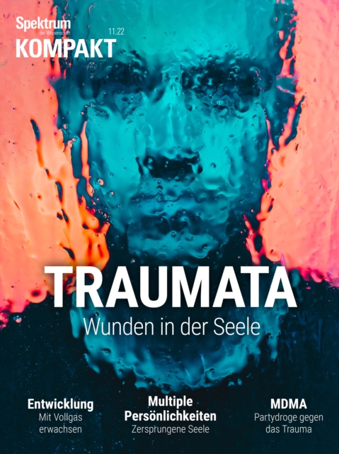 Spektrum Kompakt - Traumata : Wunden in der Seele, PDF eBook