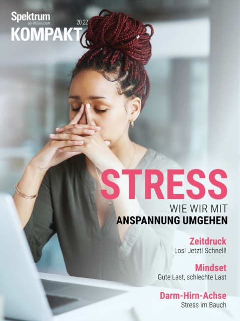 Spektrum Kompakt - Stress : Wie wir mit Anspannung umgehen, PDF eBook
