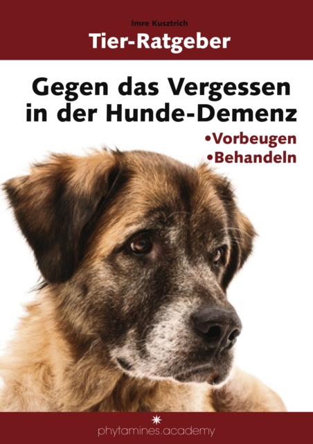 Gegen das Vergessen in der Hunde-Demenz : Vorbeugen Behandeln, EPUB eBook
