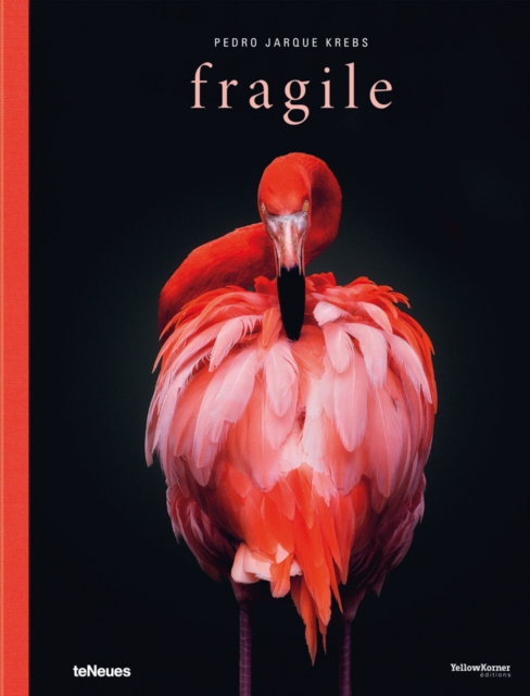 Fragile, Hardback Book