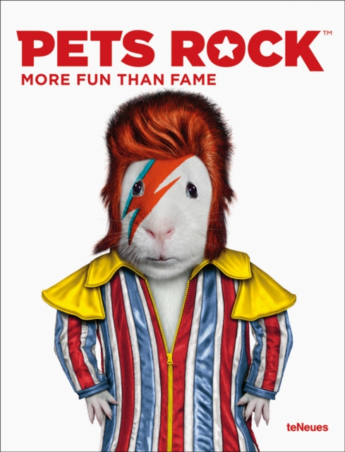 Pets Rock : More Fun than Fame, Hardback Book