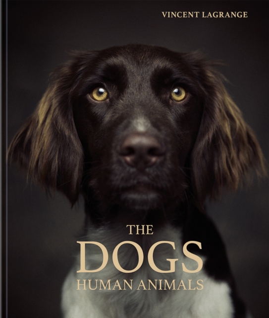 The Dogs : Human Animals, Hardback Book