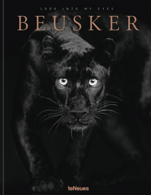 Beusker : Look into my Eyes, Hardback Book