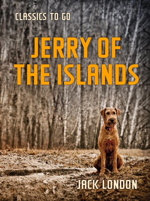 Jerry of the Islands, EPUB eBook
