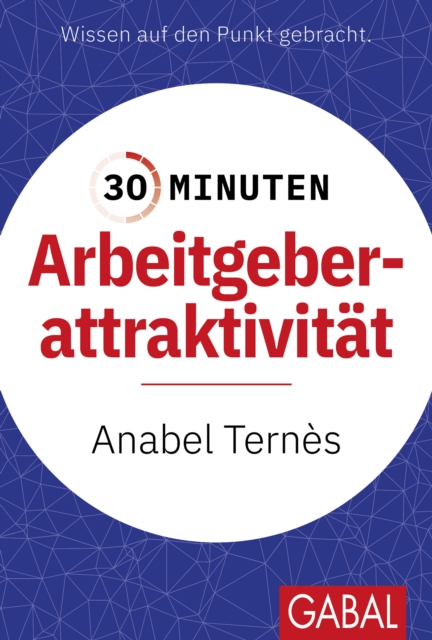 30 Minuten Arbeitgeberattraktivitat, EPUB eBook