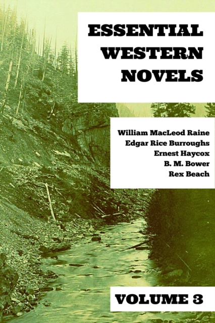 Essential Western Novels - Volume 3, EPUB eBook