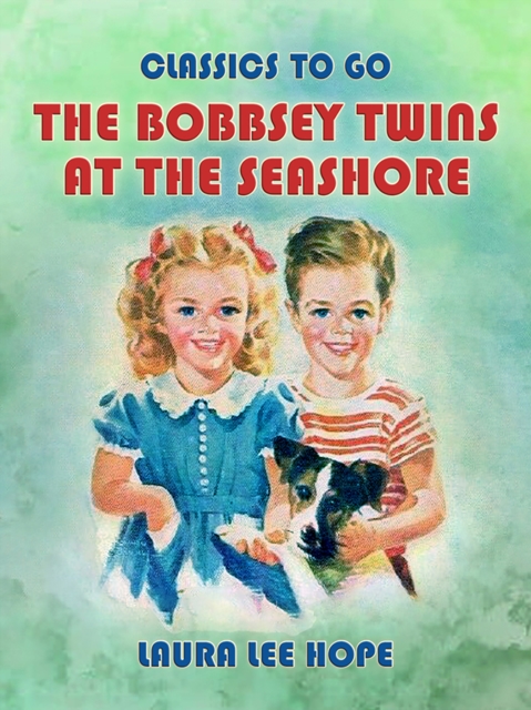 The Bobbsey Twins At The Seashore, EPUB eBook