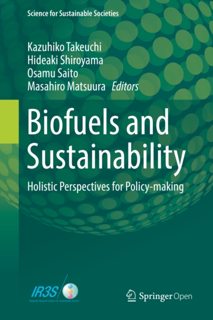 Biofuels and Sustainability : Holistic Perspectives for Policy-making, EPUB eBook