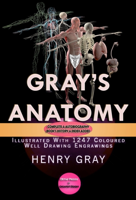 Gray's Anatomy : Complete & Illustrated With 1247 Original Coloured Drawings, EPUB eBook