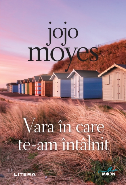 Vara in care te-am intalnit, EPUB eBook