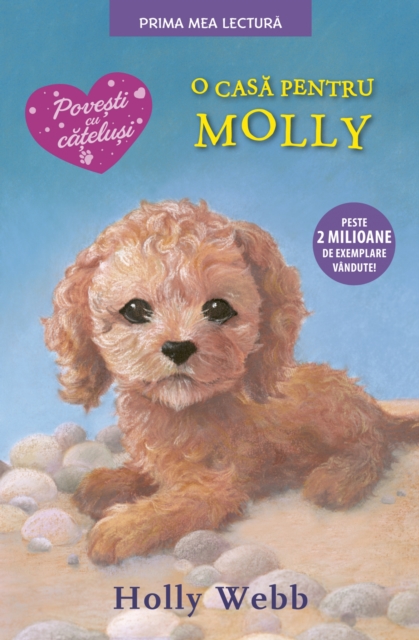 O casa pentru Molly, EPUB eBook
