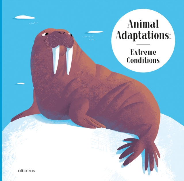 Animal Adaptations: Extreme Conditions : and How Other Animals Survive the Heat or Darkness, Hardback Book