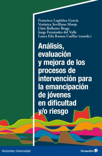 Analisis, evaluacion y mejora de los procesos de intervencion para la emancipacion de jovenes en dificultad y/o riesgo, EPUB eBook