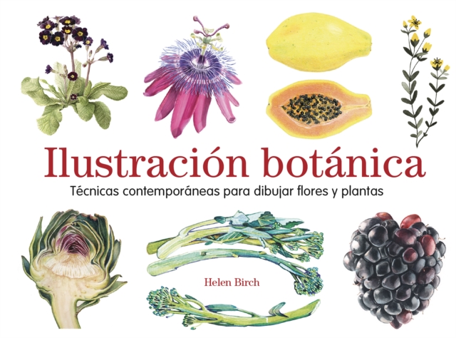 Ilustracion botanica : Tecnicas contemporaneas para dibujar flores y plantas, PDF eBook