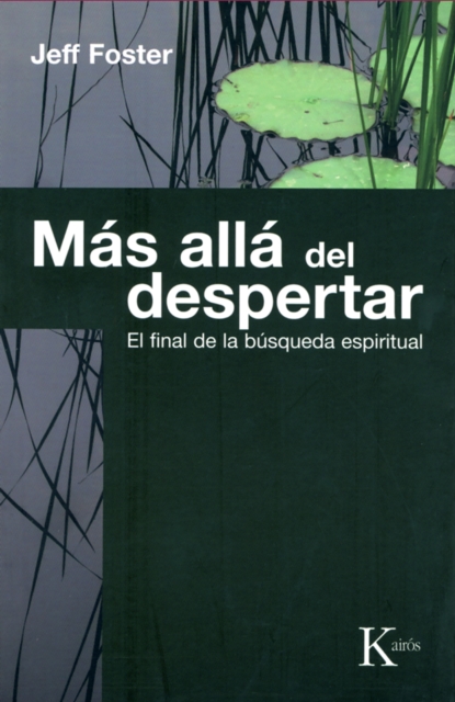 Mas alla del despertar : El final de la busqueda espiritual, EPUB eBook