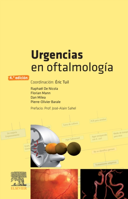 Urgencias en oftalmologia, EPUB eBook