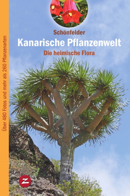 Kanarische Pflanzenwelt : Die heimische Flora, EPUB eBook