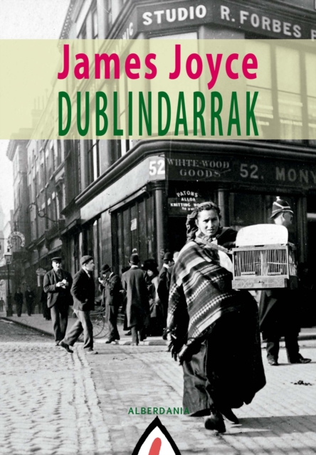Dublindarrak, EPUB eBook