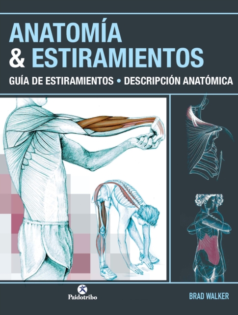 Anatomia & estiramientos, EPUB eBook
